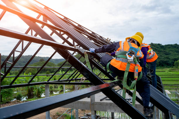 Best Roof Repair Services  in Lillington, NC