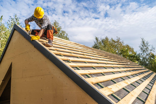 Best Roofing Contractor Near Me  in Lillington, NC